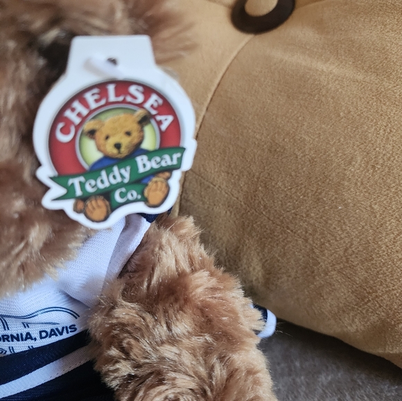 NORTH STARS CHELSEA TEDDY BEAR New with tag Dressed in Blue/White Cheerleader - Picture 4 of 4